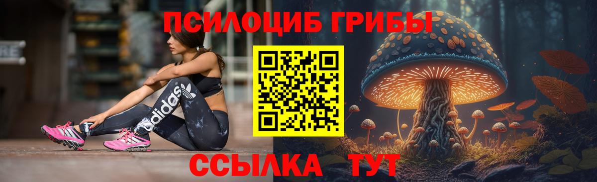 Галлюциногенные грибы MAGIC MUSHROOMS  Псилоцибиновые грибы мицелий  Елец  Вход с VPN 